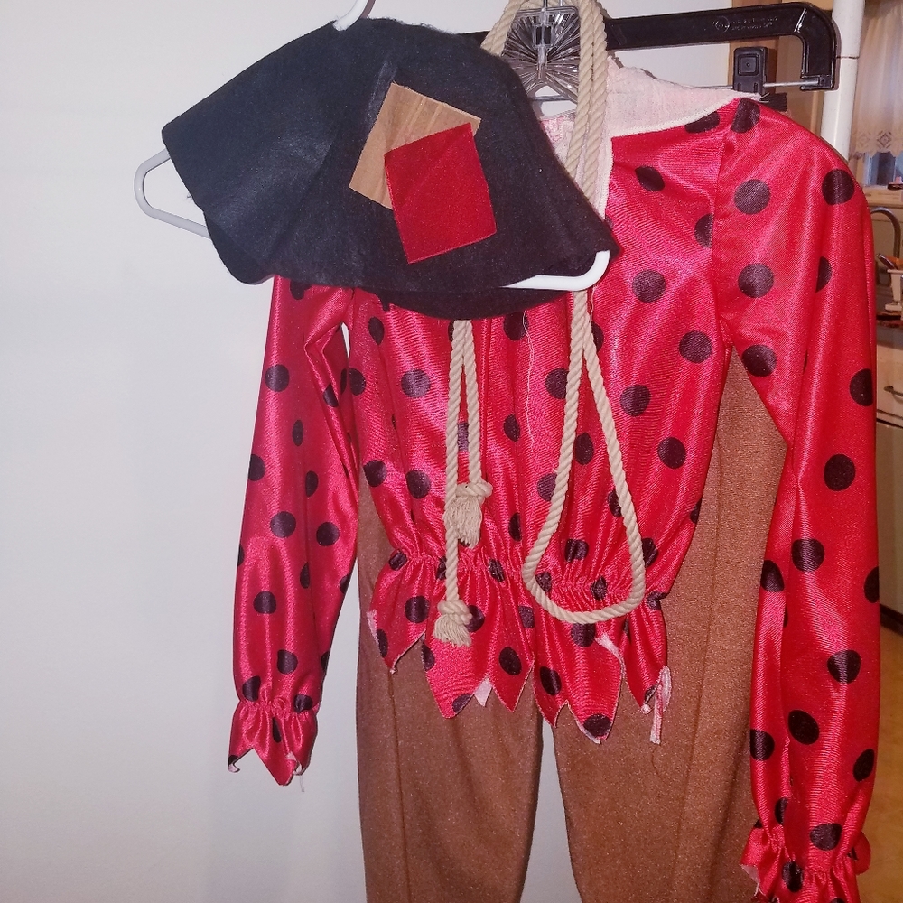 Child Scarecrow Costume